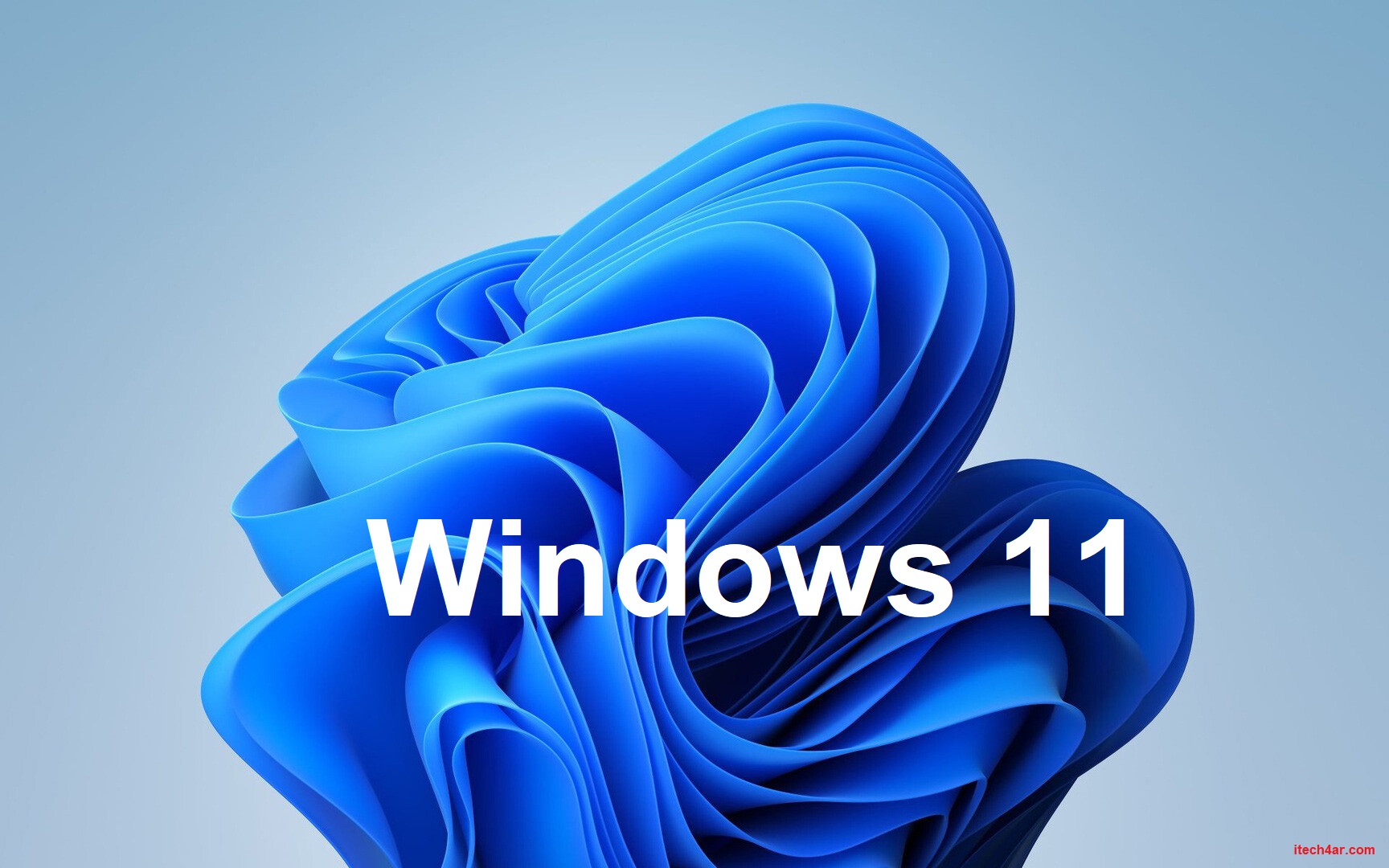ويندوز 11